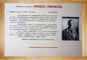 PEPICELLI biografia